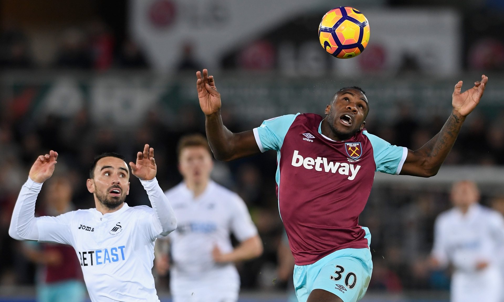 们希望看到 们希望看到