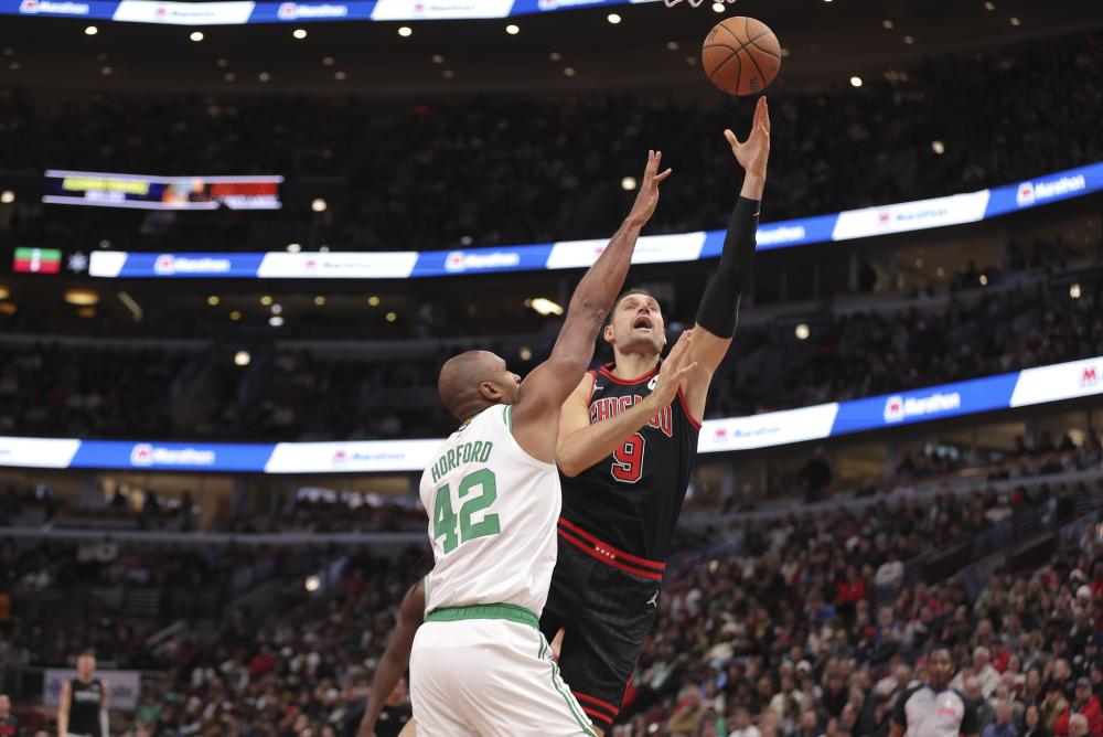 对抗灰熊如 对抗灰熊如