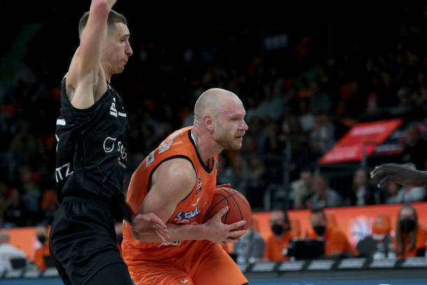 森林狼的明 森林狼的明